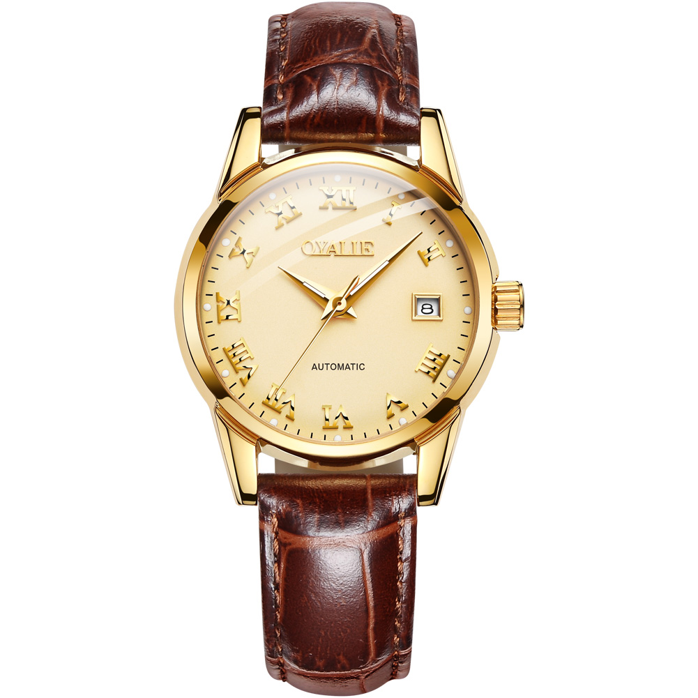 Latest Design Brown Leather Straps Automatic Watch Top Brand Mechanical Wrist watches Luxury Ladies Watch