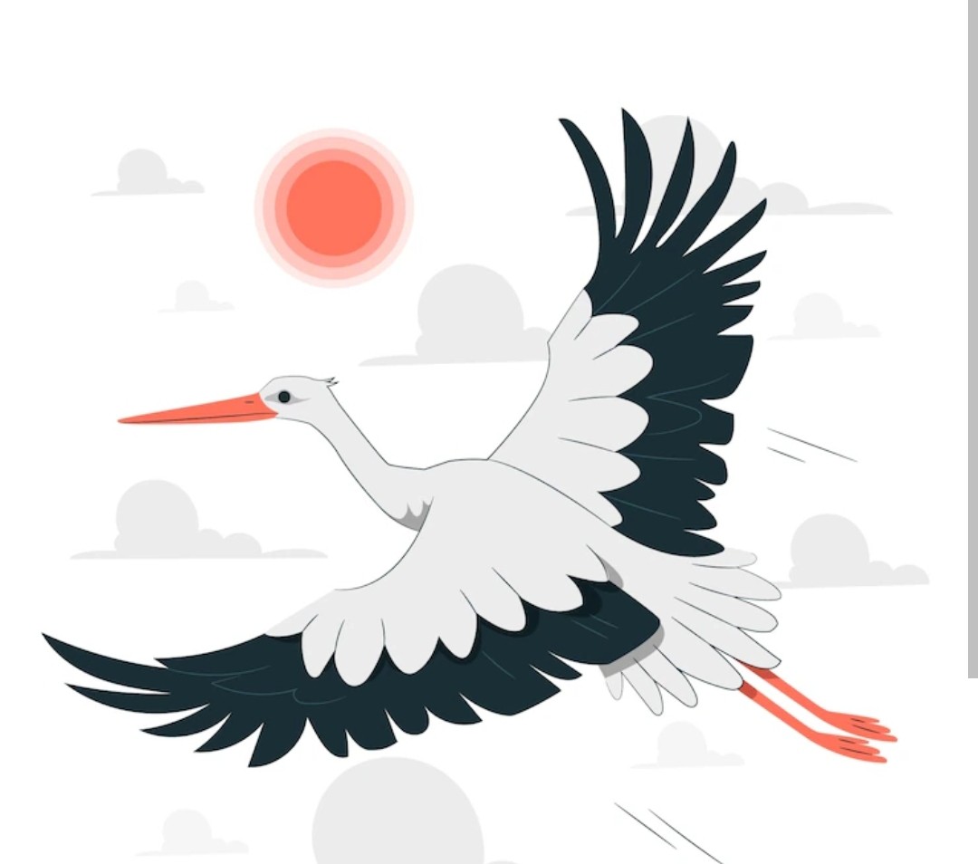 Stork