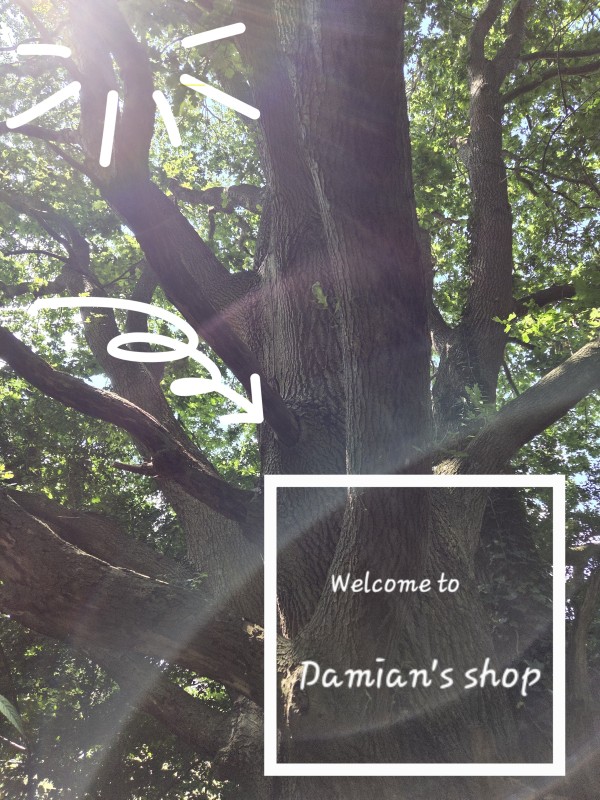 Come to Damian's Shop